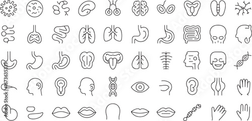 A comprehensive collection of thin line icons representing human anatomy, organs,biology, and medical science for graphic design