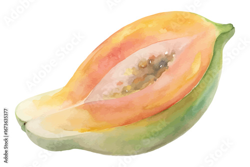 Watercolor tropical papaya fruits