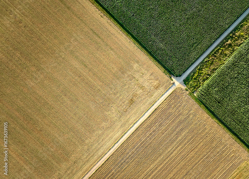 geometric aerial shot of partly harvested corn and wheat fields