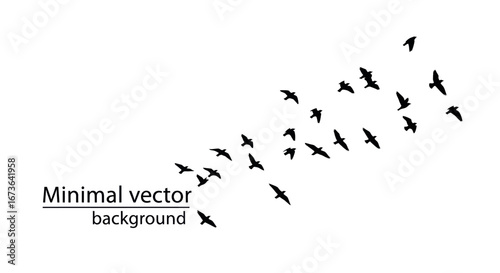 Flock of Black Birds in Flight, Minimalist Silhouette.