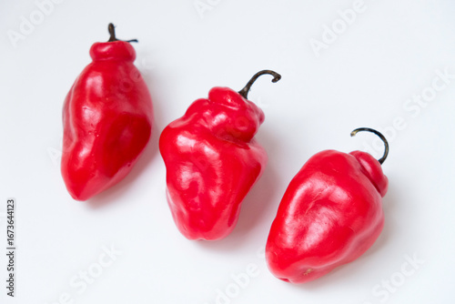 Wallpaper Mural Selective focus of cabe gendot or Dieng chilli habanero, the popular chilli in Indonesia Torontodigital.ca