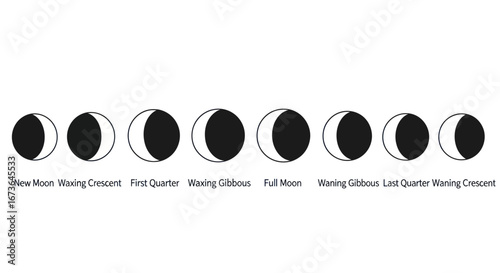 Phases of the Moon Illustrated.