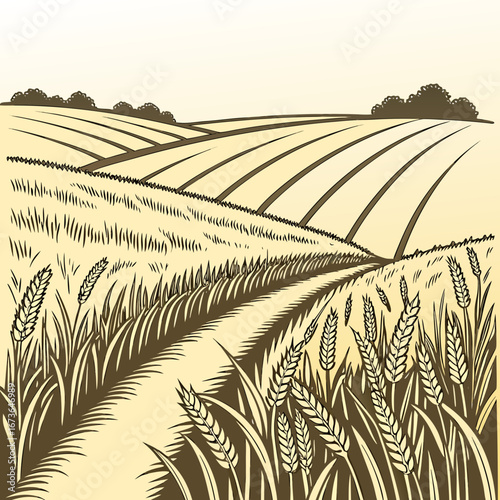 A stylized drawing of a golden wheat field with rolling hills and a path leading through the crops