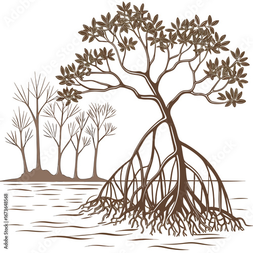 Stylized illustration of a mangrove tree with prominent aerial roots growing in water with other trees in the background