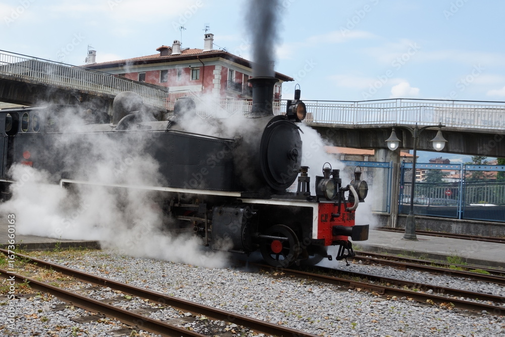 Obraz premium Locomotora de vapor en funcionamiento con humo y vapor