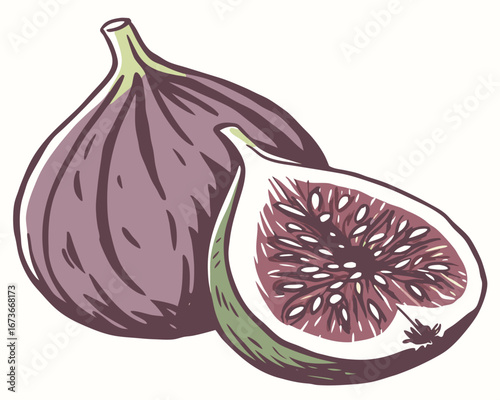 Fresh organic figs, ripe and sweet, isolated on a white background with some cut in half to show their juicy purple interior