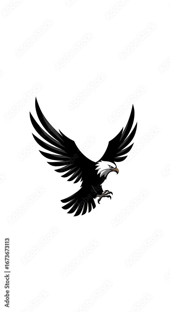 Fototapeta premium Apex of Shadow Flight
