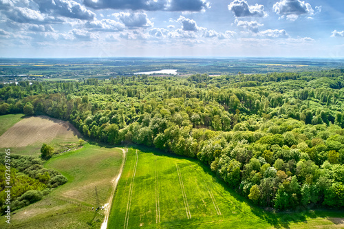 Widok z lotu ptaka na las