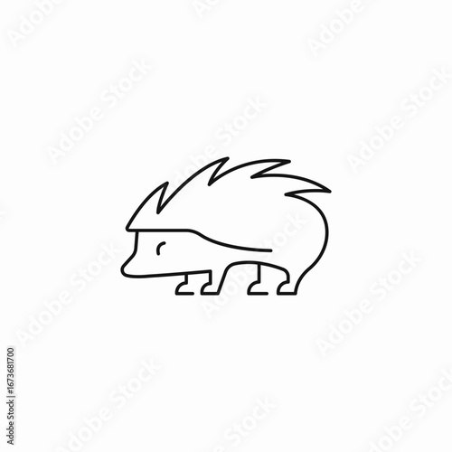 hedgehog spiky animal icon sign vector