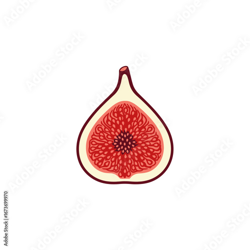 Cross-Section of a Fig Fruit with Seeds and Skin
