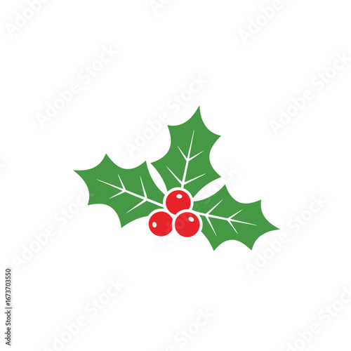 Green Holly Branch with Red Berries Christmas Vector Illustration
