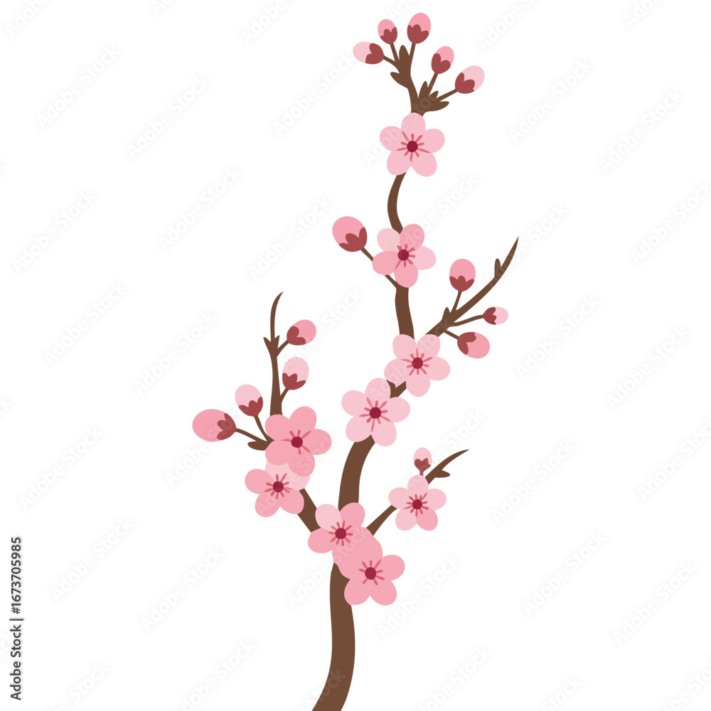 Fototapeta premium Vector illustration of pink cherry blossom branch sakura isolated on white background, flat style symbol of floral beauty, spring season, delicate flowers and traditional Japanese cultural design