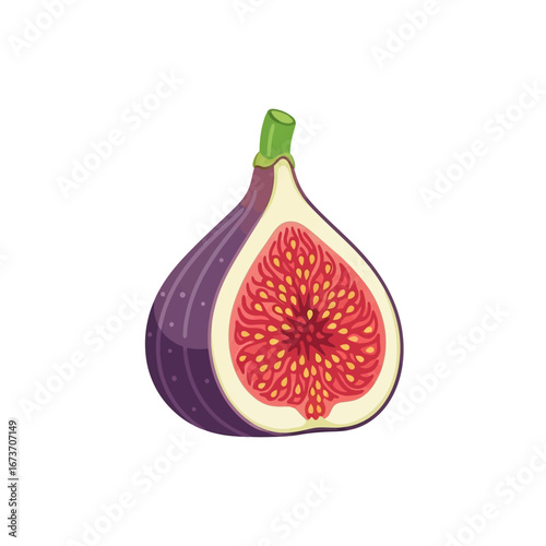 Half-Cut Fig Fruit Showing Red Flesh and Seeds