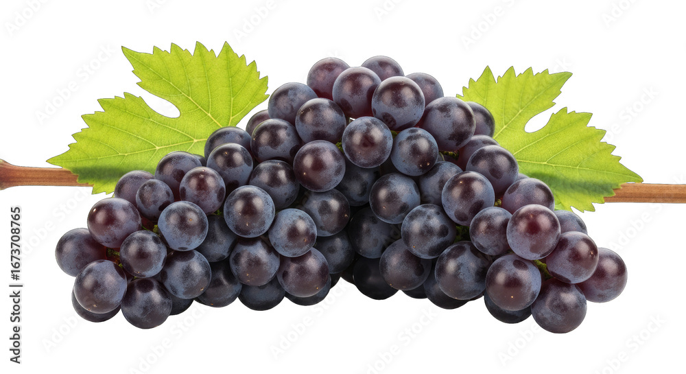 Fototapeta premium dark grapes delight a luscious cluster, natures sweet jewel