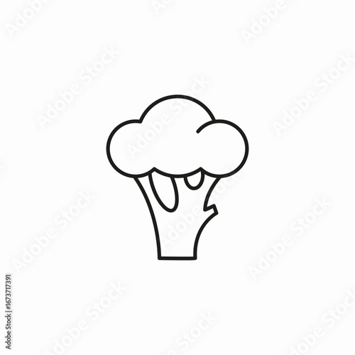 broccoli floret vegetable icon sign vector
