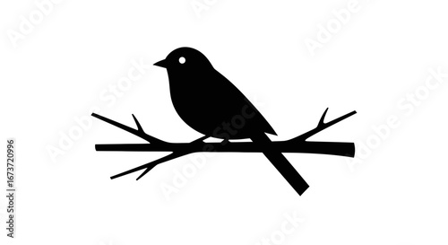 Silhouette of a Black Bird Perched on Branch.