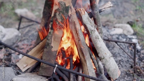 Cozy campfire crackles under the starry sky in a serene woodland setting at night