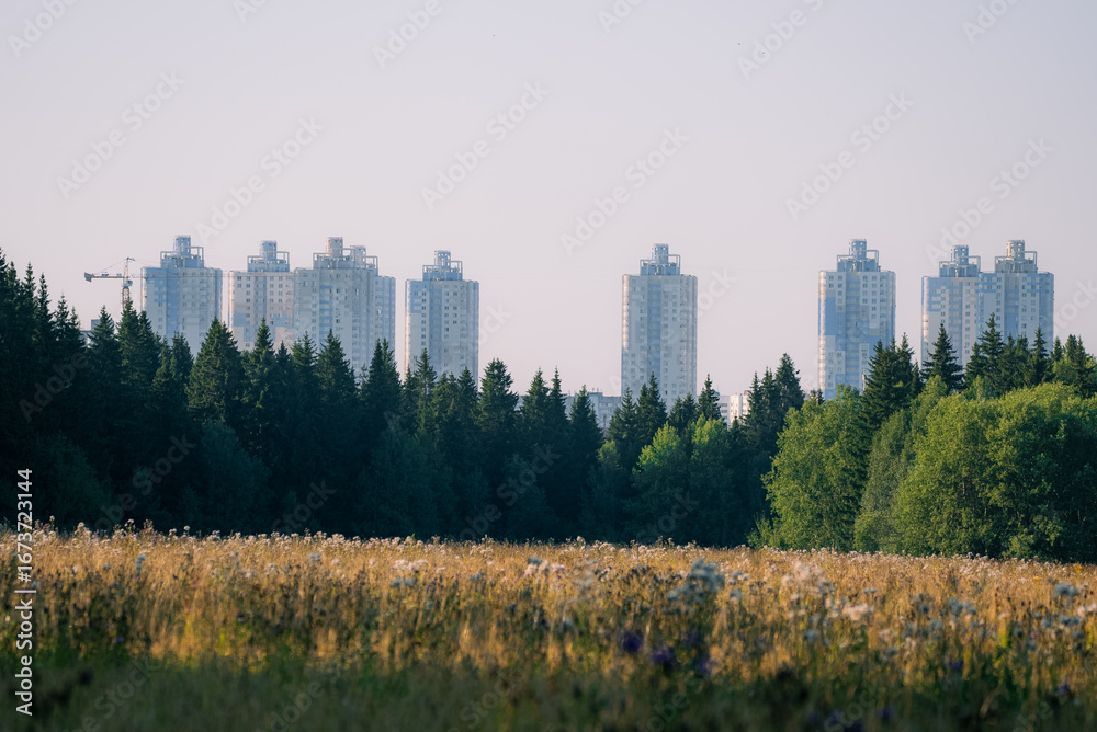 Fototapeta premium Modern residential towers stand tall in the distance, separated from a lush green forest and a meadow filled with wildflowers, showcasing the intersection of urban development and nature