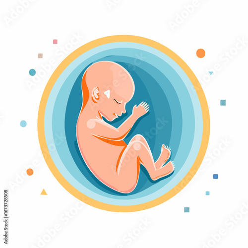 Embryo in Utero A Vector Illustration of Fetal Development in Vibrant Colors
