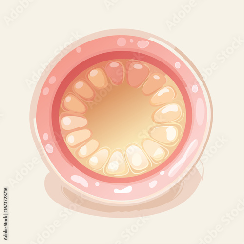 A stylized illustration of a circular, pink-rimmed object with a segmented, pale yellow interior, resembling a cut fruit or an early-stage embryo