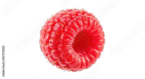 single raspberry a jeweltoned summer burst, natures tiny sweetness