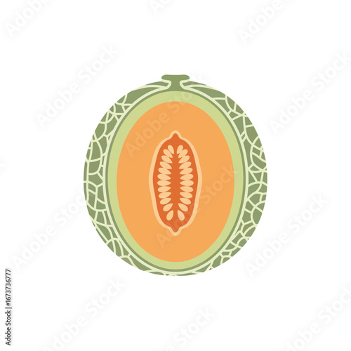 Halved Cantaloupe Melon with Visible Seeds and Rind