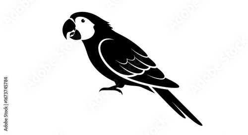 Silhouette of a Colorful Parrot in Profile View.