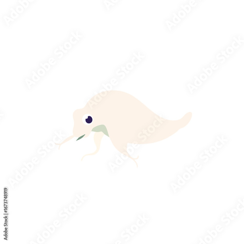 Simple flat illustration of a cuttlefish hovering