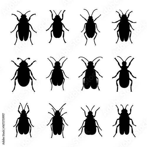 Collection of Insect Silhouettes