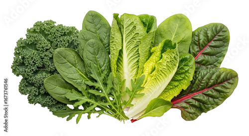 vibrant green leafy vegetables kale, spinach, romaine, and chard for healthy eating