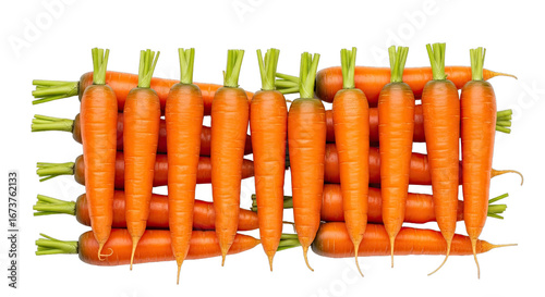 vibrant orange carrots a perfect harvest bounty, fresh from the farm
