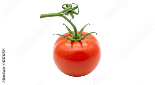 vineripened perfection a single, juicy tomato, still on the vine