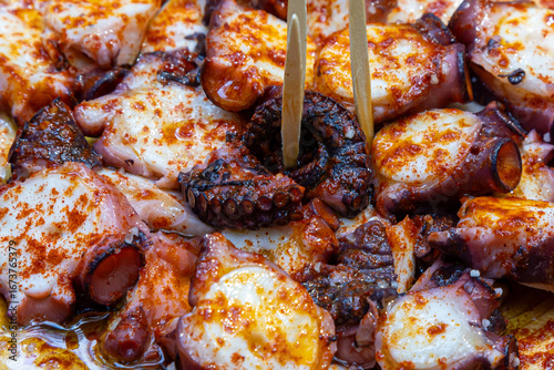 Octopus Fair in Galicia. Octopus cooked with oil, paprika, and salt. Close-up of octopus.