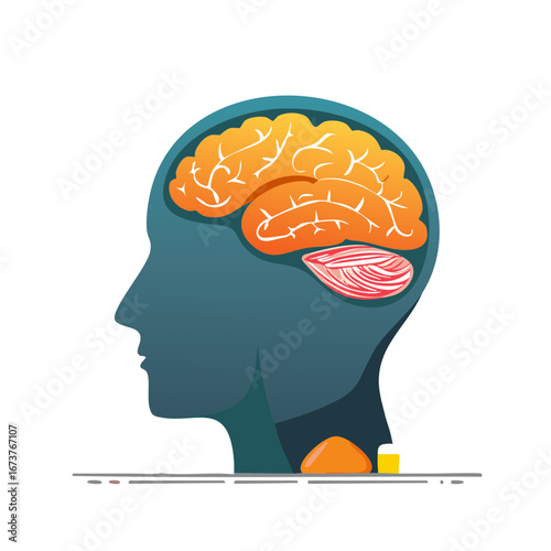 Head Silhouette with Brain Beer and Thyroid Gland Illustration on White