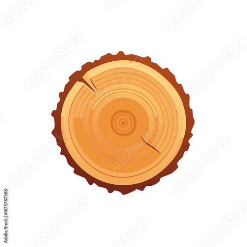 Cut Tree Trunk Section, Cross-Section Illustrating Wood Grain and Texture