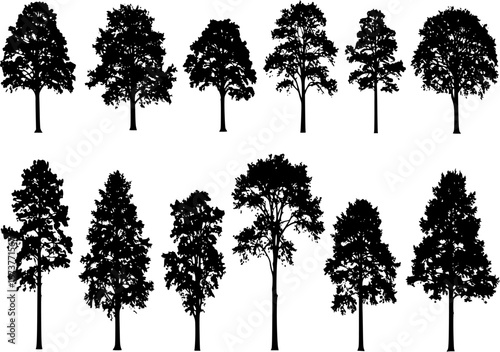 silhouette tree set
