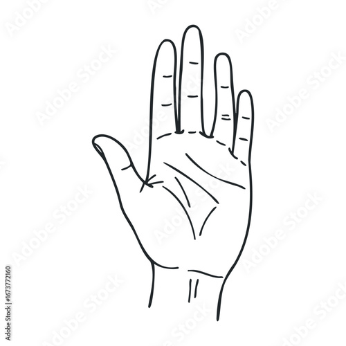 Hand gesture communication studio illustration minimalist close-up expression of emotions. Outline vector illustration
