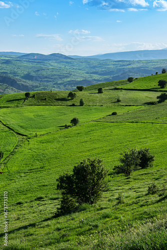 Wide view of rolling green hills dotted with small trees under a clear blue sky. The scenic landscape shows layers of valleys and distant mountains. Creating a peaceful and natural countryside scene.
