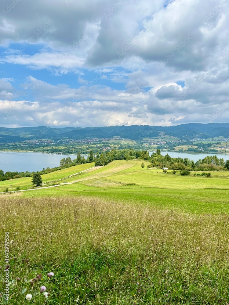Fototapeta premium Panoramic summer view of Czorsztynskie lake with green fields and cloudy sky. Concept: eco tourism, scenic travel, outdoor exploration. 
