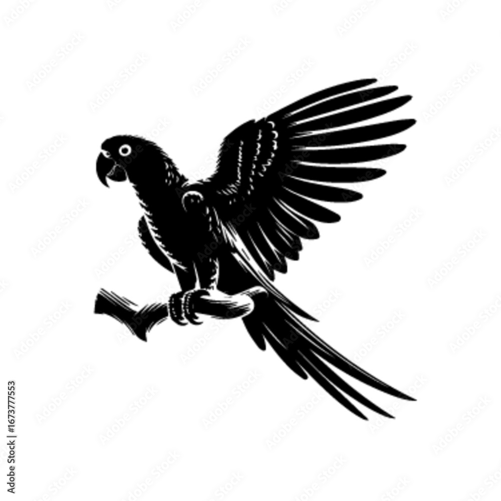 Obraz premium Flying Parrot Vector Design