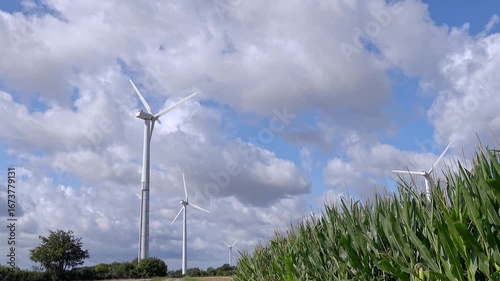 Wind turbines rotating near golden cornfield, generating sustainable electricity against stormy sky, representing renewable energy production in agricultural setting