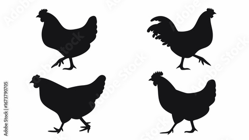 Four black silhouettes of chickens and a rooster walking on a white background in a simple vector art style | editable eps vectors