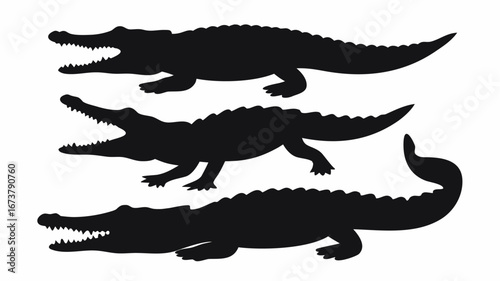 Three alligator silhouettes with open mouths showing teeth in different positions on white background | editable eps vectors
