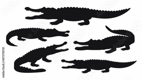Silhouette illustration of five alligators in various poses with open mouths on a white background | editable eps vectors