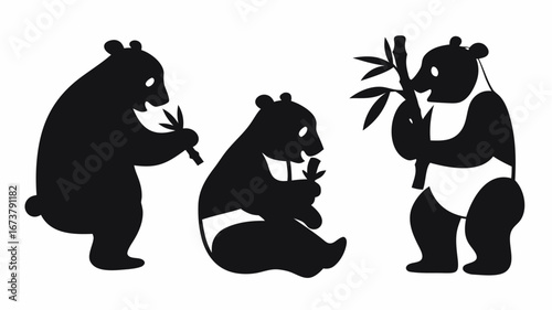 Three panda bears in black and white eating bamboo shoots in different positions and orientations | editable eps vectors silhouette