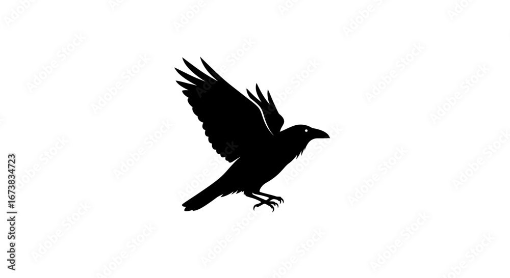 Black Crow Silhouette Flying with Spread Wings.