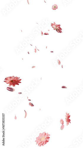 Peachy pink spring flowers and petals overlay 3d render