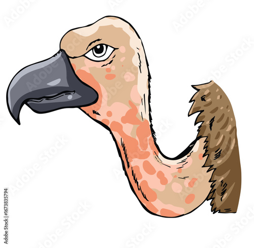 cute cartoon hand drawn vector vulture face and beak clipart.