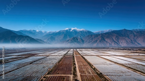 Aerial view of agricultural fields with snowcapped mountains in the background under a clear blue sky, highlighting rural landscape