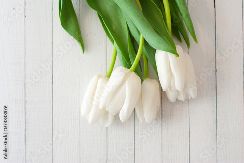 White tulips